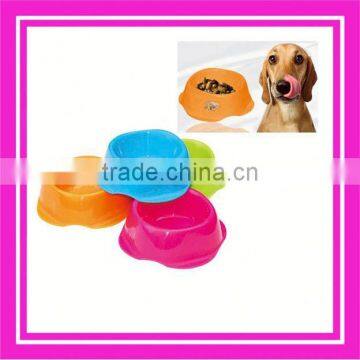 portable pet feeder