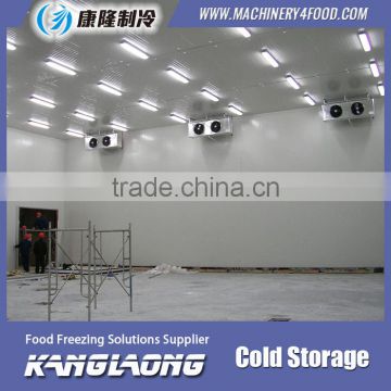 China Factory New Technology Building Cold Storage Room