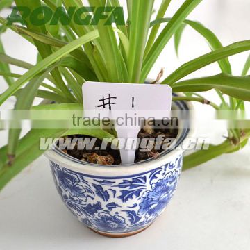152mm White color Garden Plant Plastic Label