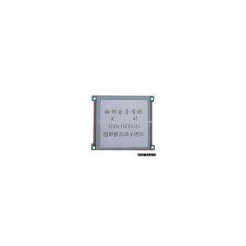 Graphic LCD Module