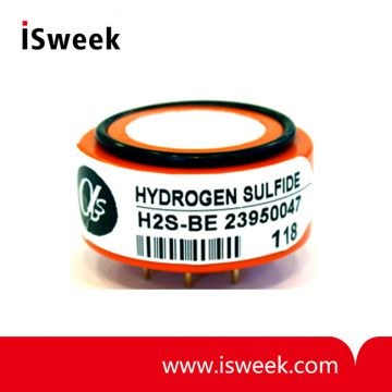 H2S-BE High Concentration Hydrogen Sulfide Sensor (H2S Sensor)