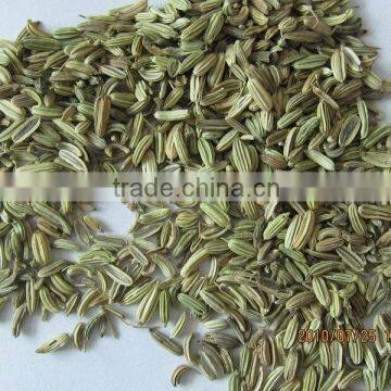 fennel seeds