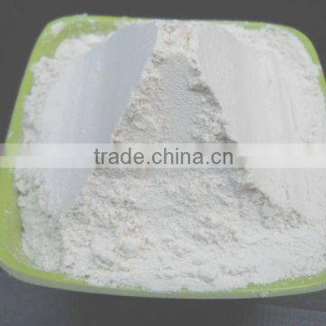 EXPORT QUALITY WHITE ONION POWDER BEST RATE