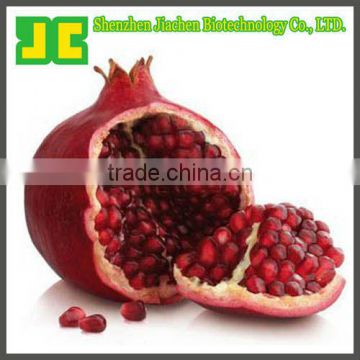 Sell 100% natural Pomegranate Rind Extract Powder 5:1&10:1 with high quality