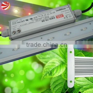 High intensity 3w led grow light strip for greenhouse vegetables