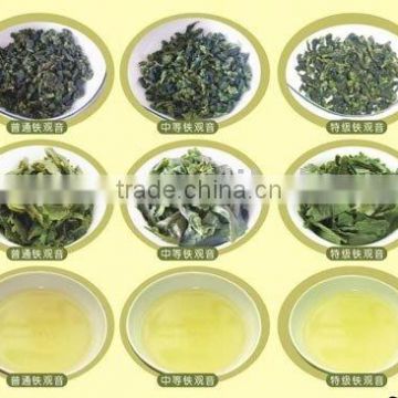 green tea,Organic green tea.green tea powder,instant green tea powder