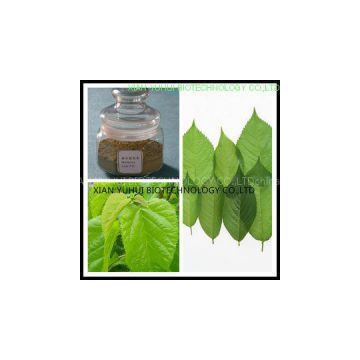 mulberry leaf extract,1-Deoxynojirimycin,1-DNJ,Mulberry Leaf Extract 1-DNJ