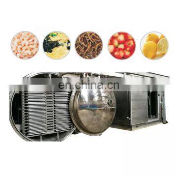 Wholesale industrial dried dragon fruit vacuum freeze dryer for snack machines