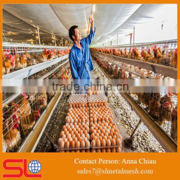 poultry control shed farm equipments chicken cage for poultry farm for nigeria