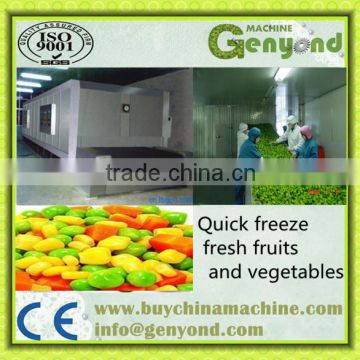 instant freezer/liquid nitrogen refrigerator for vegetable