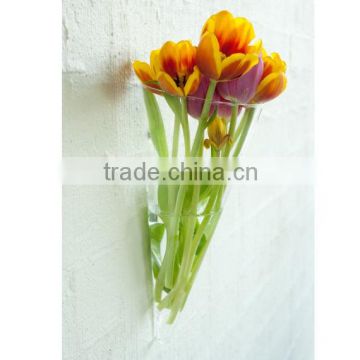 Hang on wall glass vase clear transparent leadfree customized size radish shaped unique