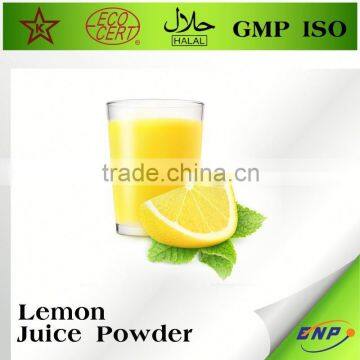 Lemon Powder Production Plant