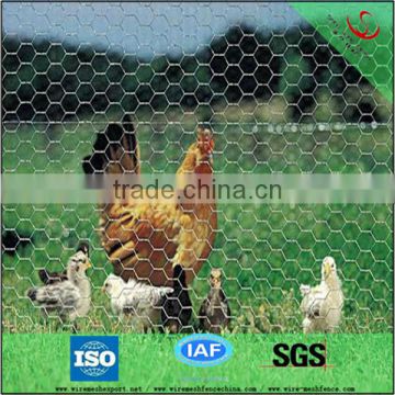 wire mesh cage chicken layer for kenya farms
