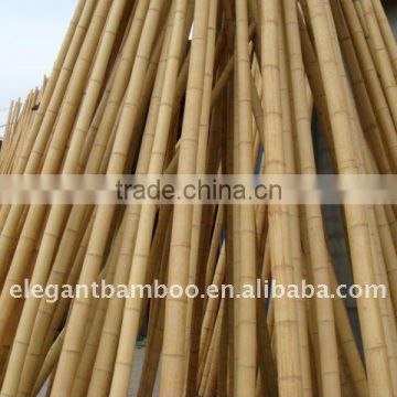 5-6cm bamboo pole