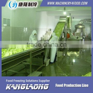 High Quality Fruit Water Processing Production Line With Good Price