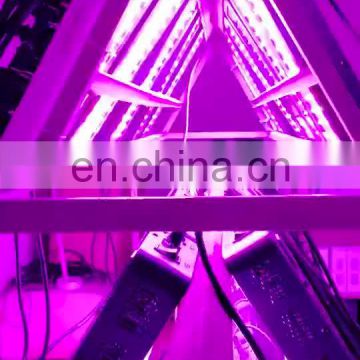 Indoor 600Watt Full Spectrum Led COB Indoor Plants Grow Lighting For Greenhouse