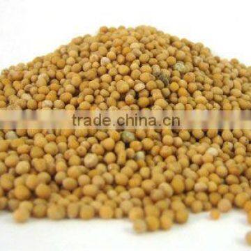 Mustard Seed 99% Purity