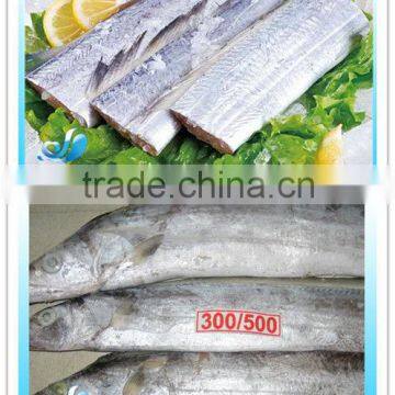 FROZEN RIBBON FISH STEAK/HAIRTAIL STEAK/ WHOLE ROUND