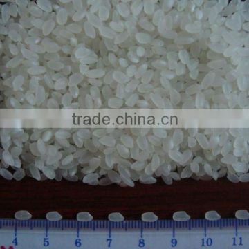 Vietnam Short grain Rice