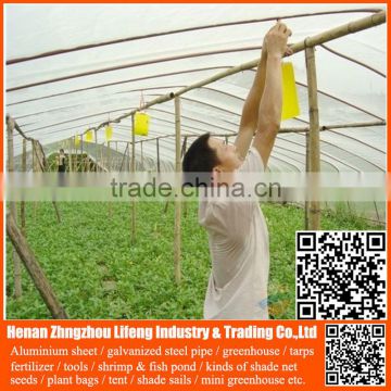 high quality 20/30/40/50 mesh hdpe plastic agriculture greenhouse vegetable and fruit anti-insect net , nylon insect net
