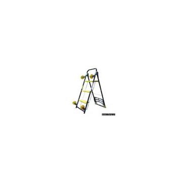 Sell Multifunctional Ladder