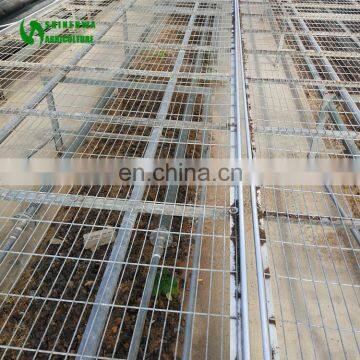 Agricultural Greenhouse Potted Plant Table For Rooling Benches