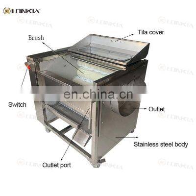 High capacity brush roller washing machine / potato cleaning and peeling machine for sweet potato / carrot