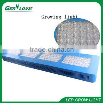 Hot selling 1000 watt led grow light powerful 1000w indoor grow kit