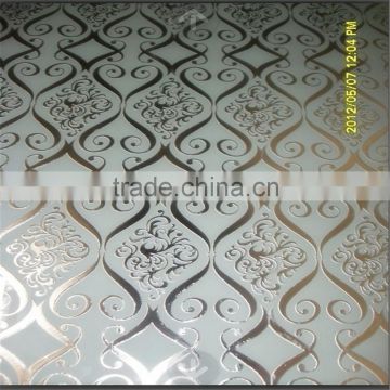 Excellence quality etching acid privacy glass