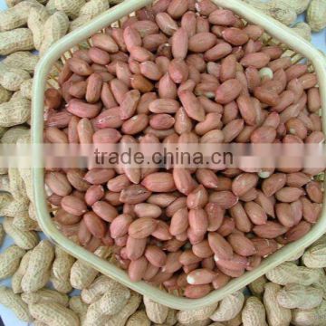good quality peanut kernels(red and white)