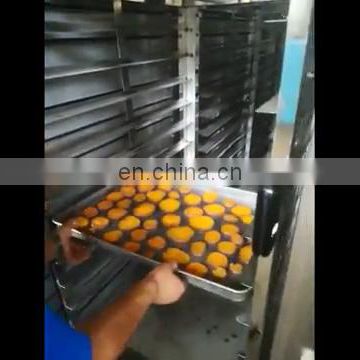 Commercial bread cake baking 12 trays electric/gas convection oven bakery rotary oven for sale