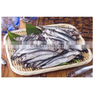 Wholesale good quality frozen fresh anchovy whole round  for sale