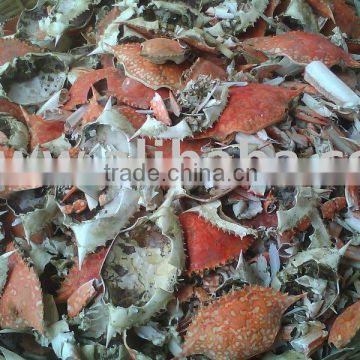 Red Crab Shell