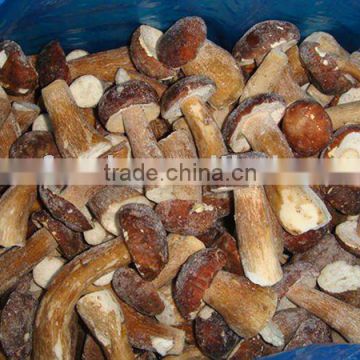 Chinese boletus edulis mushroom frozen