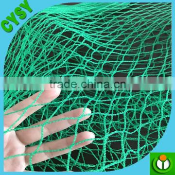 Pe type green anti bird net /hail net / insect net