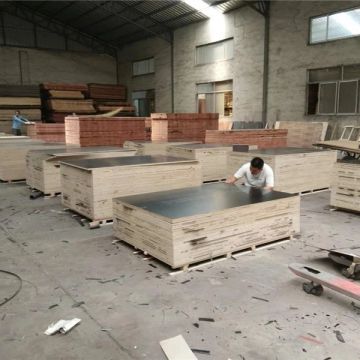 Hardwood Black Film 18mm Marine Plywood made in china
