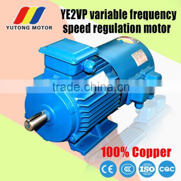 4kw 2 pole YVP series frequency variable motor