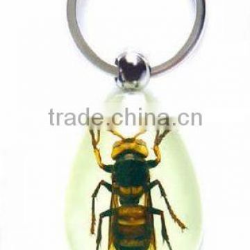 Beetle Pendant Insect keychain