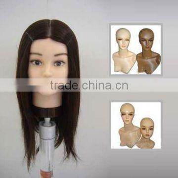 high quality Training mannequin head