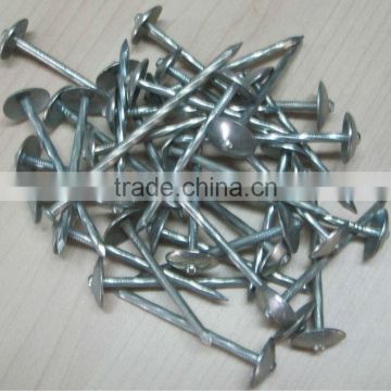 Galvanized Umbrella head Roofing nails from Guangzhou Supplier