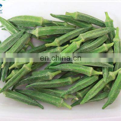 IQF Frozen Okra with stem