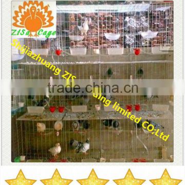 zisa high quality hot dip galvanized pigeon cage suppiler price