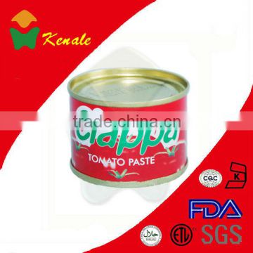 Tomato paste factory good quality/good service 70gX50tins