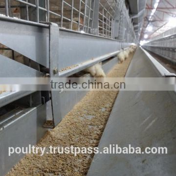 battery cages