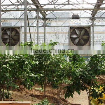 greenhouse evaporative high quality wall mounted cooling unit system