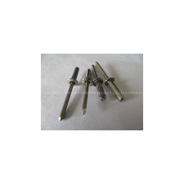 Stainless steel rivets closed