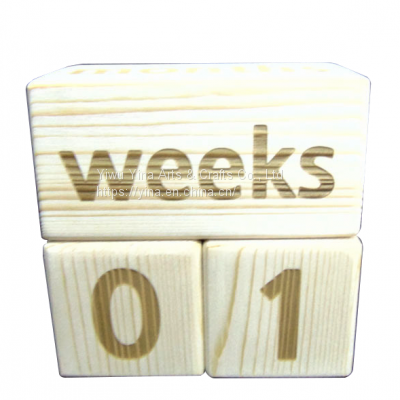 Custom Engraved Wooden Baby Milestone Blocks for Infant
