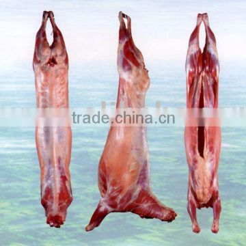 Halal Chilled Lamb / Goat Meat Carcass / Sheep Carcass Chilled Fresh