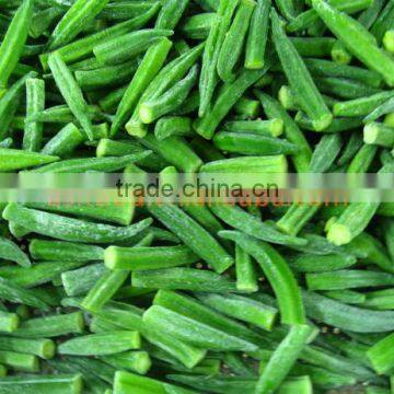 IQF frozen okra with best quality and hot price