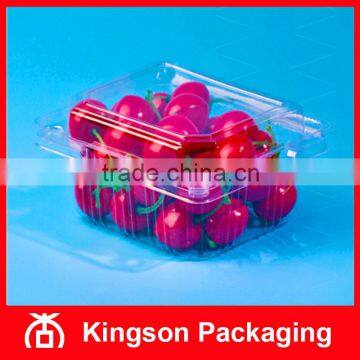 Disposable Plastic Packaging Box for Fruit